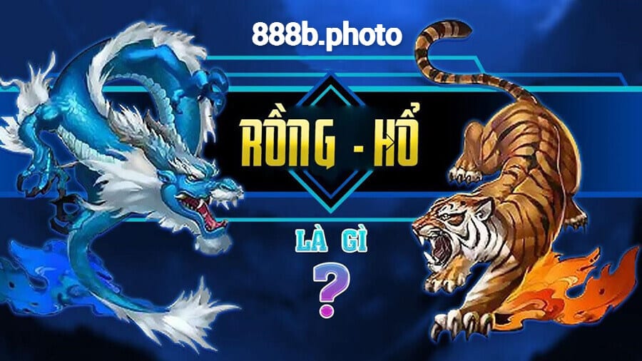 Rồng Hổ Là Gì?